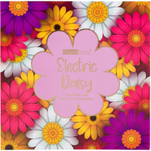 Load image into Gallery viewer, 925 - ELECTRIC DAISY BOOKLET